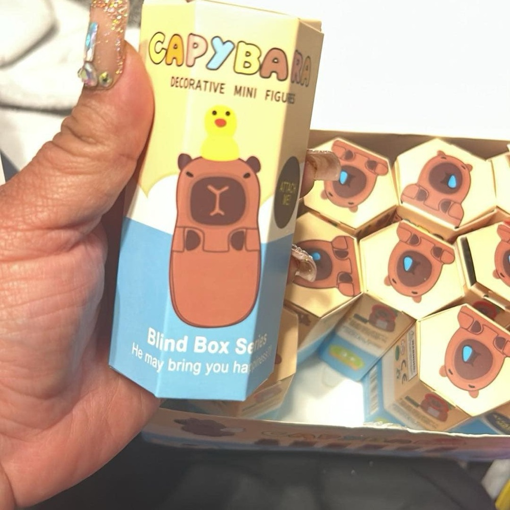 New HOT!! Popular CAPYBARA Surprise blind-bag Hipper collectible series blindbox